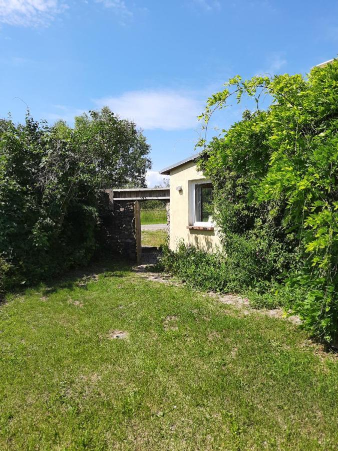 Apartment In Welzin *